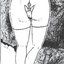Pedanius Dioscorides