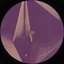 Virtual Reality EP