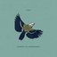 Canção da Esperança - Single