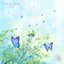 Lightness