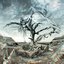 Cryptic Tree - EP