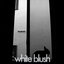Without You