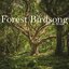 Forest Birdsong