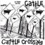 Cattle Crossing