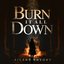 Burn It All Down - Single