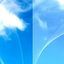 Avatar de canipronto