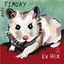 Mary Timony - Ex Hex album artwork