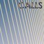 Calls