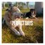 Perfect Days