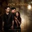 The Twilight Saga: New Moon (Original Motion Picture Soundtrack) [Deluxe]