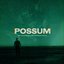 Possum (Original Motion Picture Soundtrack)