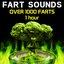 Fart Sounds - Over 1000 Farts (1 Hour)