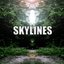 Skylines Self-Titled Album