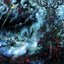 Nyarlathotep