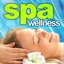 Spa Wellness (50 Best Instrumentals: A Soothing Blend of Music and Nature Sounds to Create a Peaceful State of Mind)