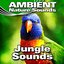 Jungle Sounds