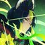 Tighnari Mix Collection (From "Genshin Impact")