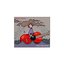 Talor" Red Guitar