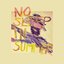 No Sleep In Summer