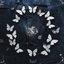 The Butterfly Effect [Explicit]