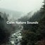 Calm Nature Sounds
