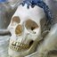 The 24 Hour Song Skull