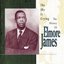 The Sky Is Crying: The History of Elmore James