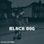 Black Dog