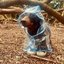Little Hopper - Single