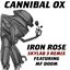 Iron Rose (feat. MF Doom) (Skylab 3 Remix)