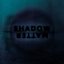 Shadow Matter