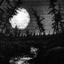 Awatar dla Darkner