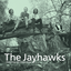 The Jayhawks - Tomorrow the Green Grass album artwork