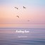 Fading Sun