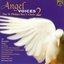 Angel Voices 2