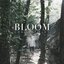 Bloom - EP