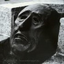 Avatar di winter_eyed