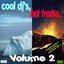 Cool dj's, hot tracks - vol. 2