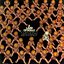 A Land Of Dolls