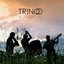 Trino