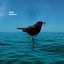 Split EP
