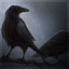 Avatar für Kayraven