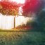 Colortone