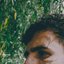 Seasons - Single