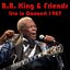 B.B.King  Friends: Live in Concert 1987