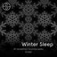 Winter Sleep