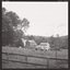 The Horses