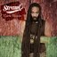 Rasta Warrior