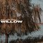 Willow - Single