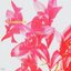 Fragrance (feat. BigBabyGucci) - Single